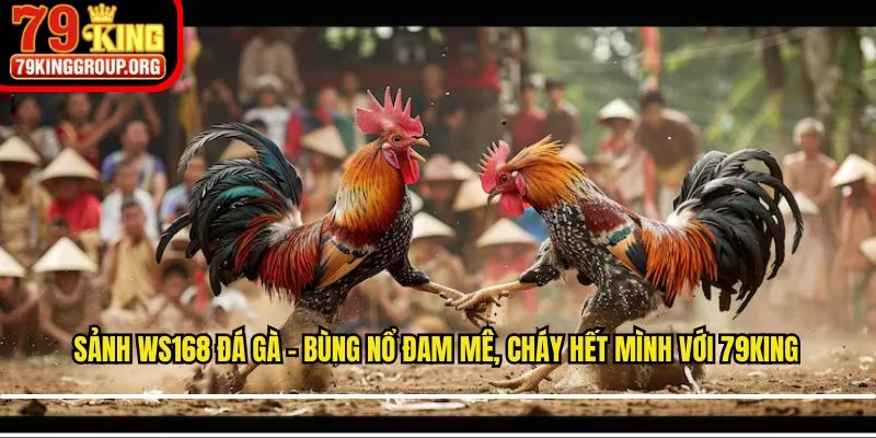 Sảnh WS168 Đá Gà – Bùng Nổ Đam Mê, Cháy Hết Mình Với 79King