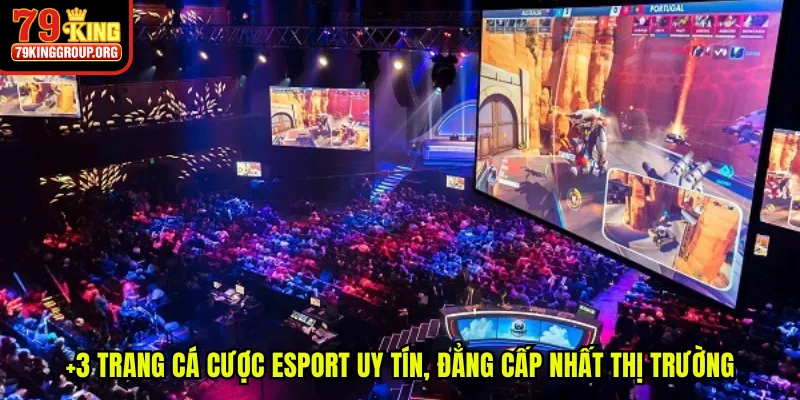 Trang Cá Cược Esport